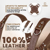 Brown Dual Camera Harness