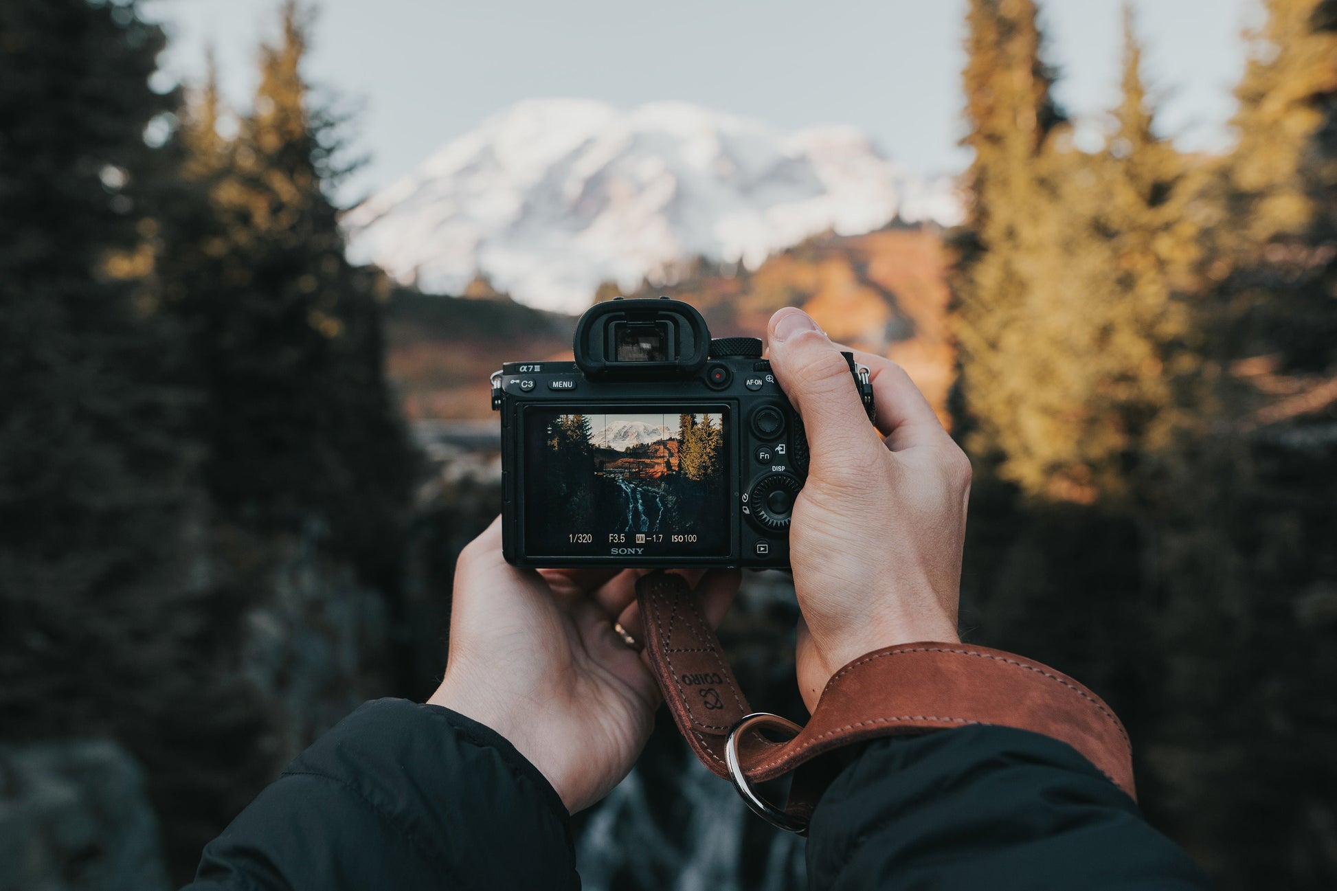 Wrist Camera Strap - Coiro Shop